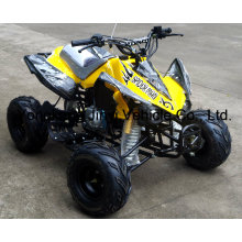 China Nueva fábrica 110cc ATV (JY-100-1A)